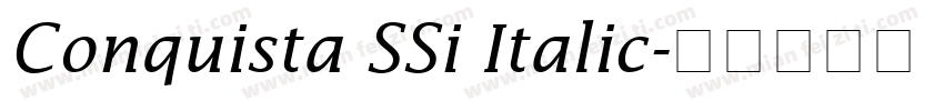 Conquista SSi Italic字体转换